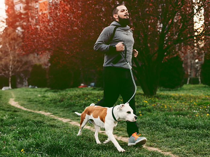 522 Dog Scales Stock Photos, High-Res Pictures, and Images - Getty Images